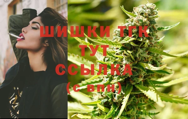 прущие крисы Абаза